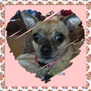 Meet your Posher, Lynda